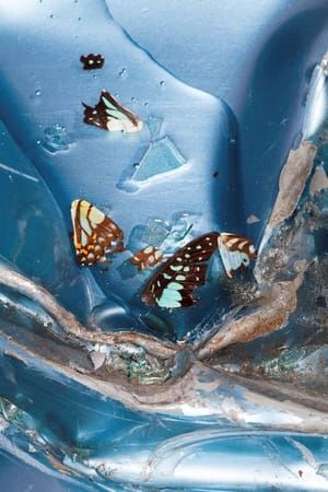 Artwork Title: Untitled