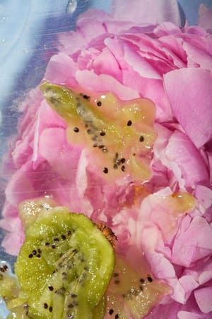 Artwork Title: Untitled