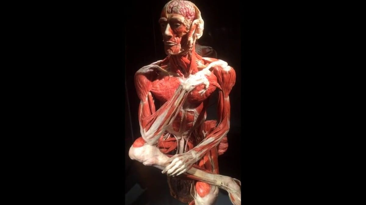 Artwork Title: undefined