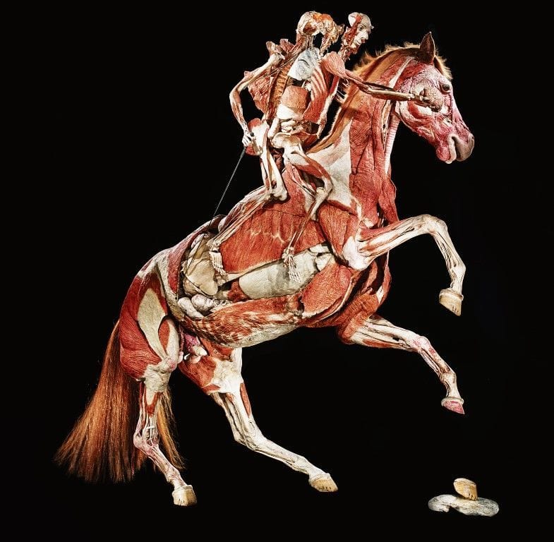 Artwork Title: undefined