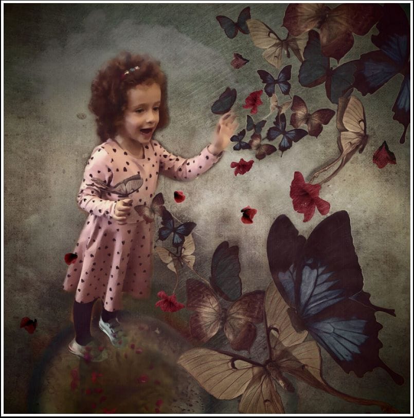 Artwork Title: Butterflies are not insects