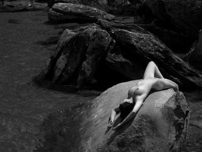 Artwork Title: Untitled