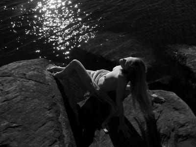 Artwork Title: Untitled
