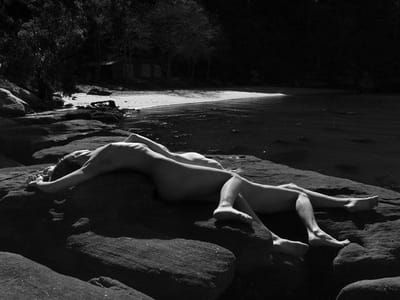 Artwork Title: Untitled
