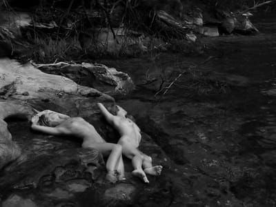 Artwork Title: Untitled
