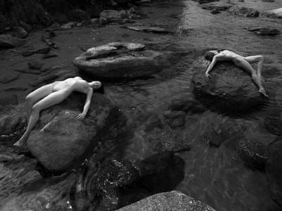 Artwork Title: Untitled