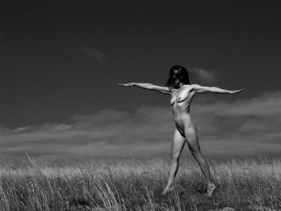 Artwork Title: Untitled