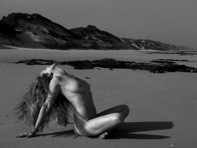 Artwork Title: Untitled