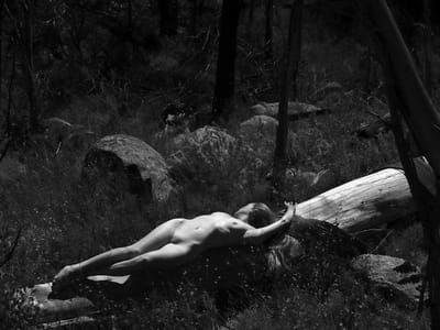 Artwork Title: Untitled