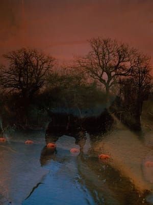 Artwork Title: Untitled