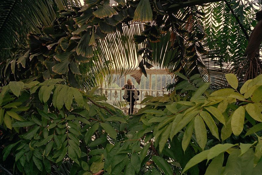 Artwork Title: undefined