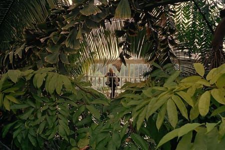 Artwork Title: Untitled