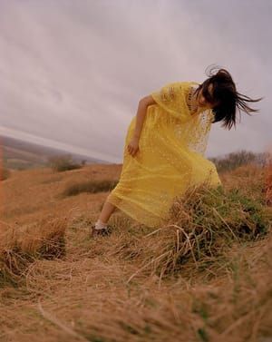 Artwork Title: Untitled