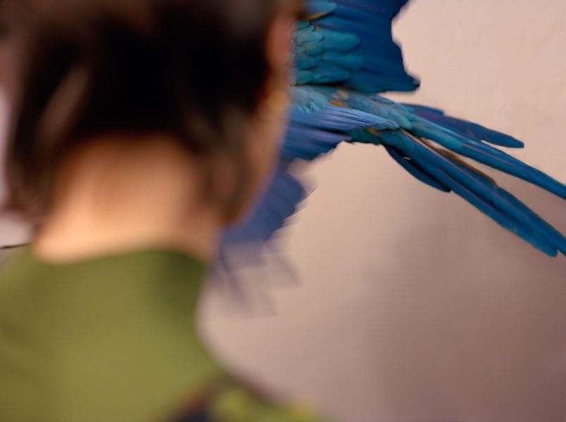 Artwork Title: undefined