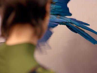 Artwork Title: Untitled