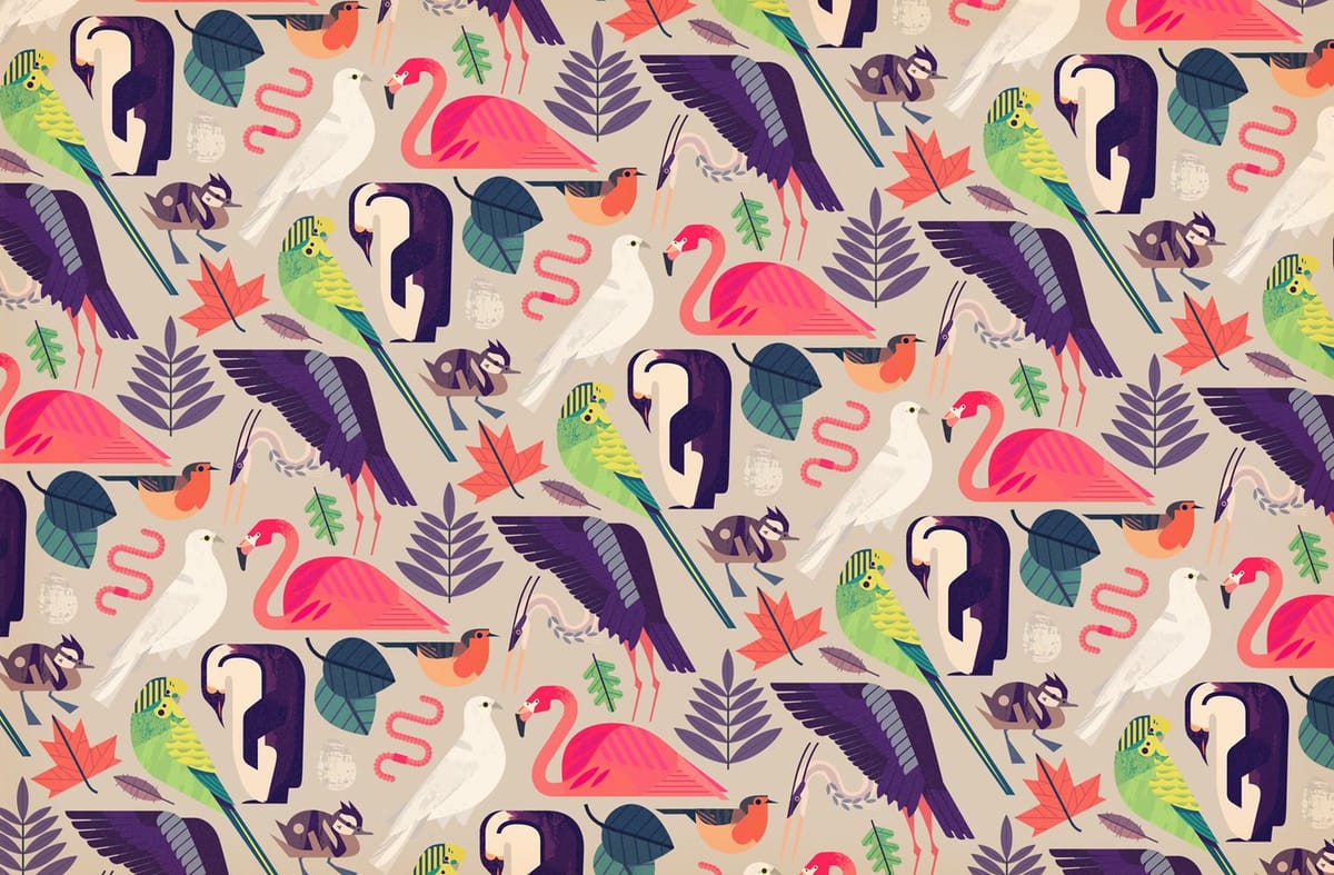 Artwork Title: Bird Search Endpapers