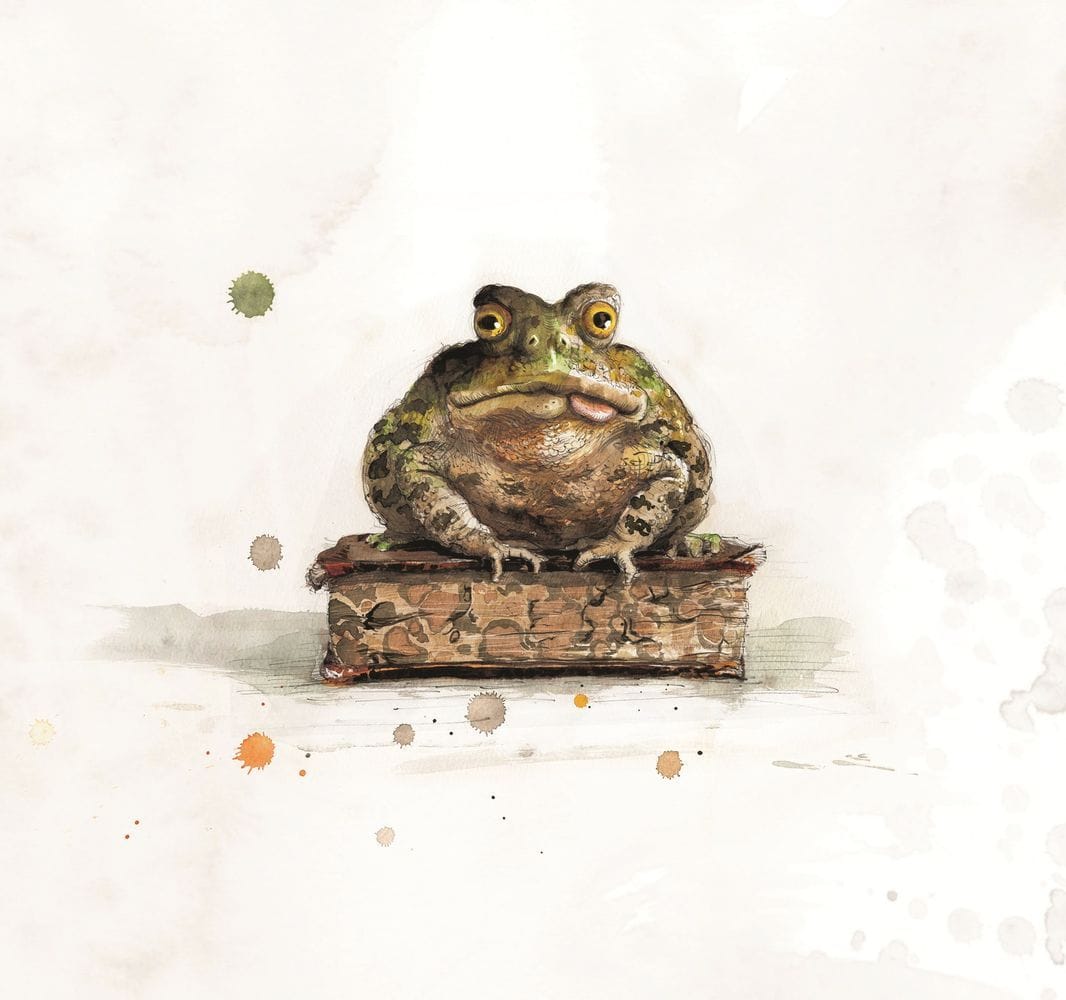 Artwork Title: Toad