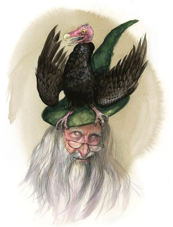 Artwork Title: The Vulture Hat