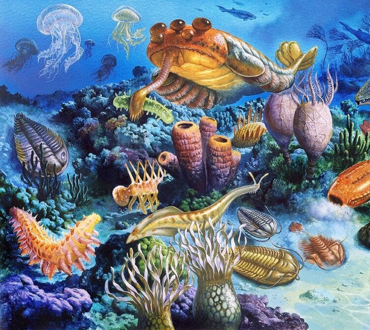 Artwork Title: Underwater Paleozoic Landscape