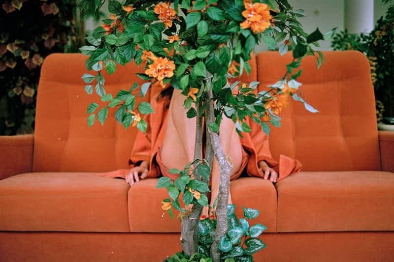 Artwork Title: undefined