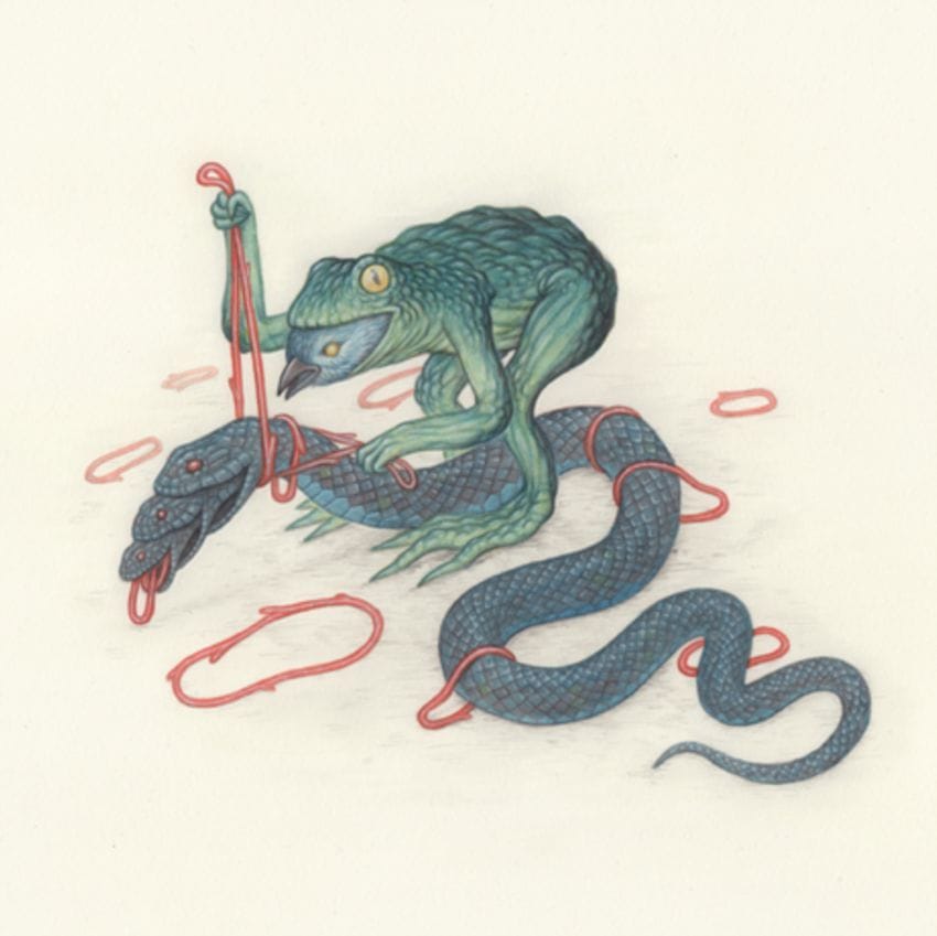 Artwork Title: Frog Bird Snake