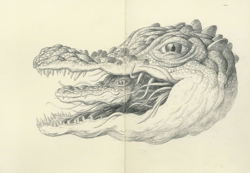 Artwork Title: Moleskine Croc