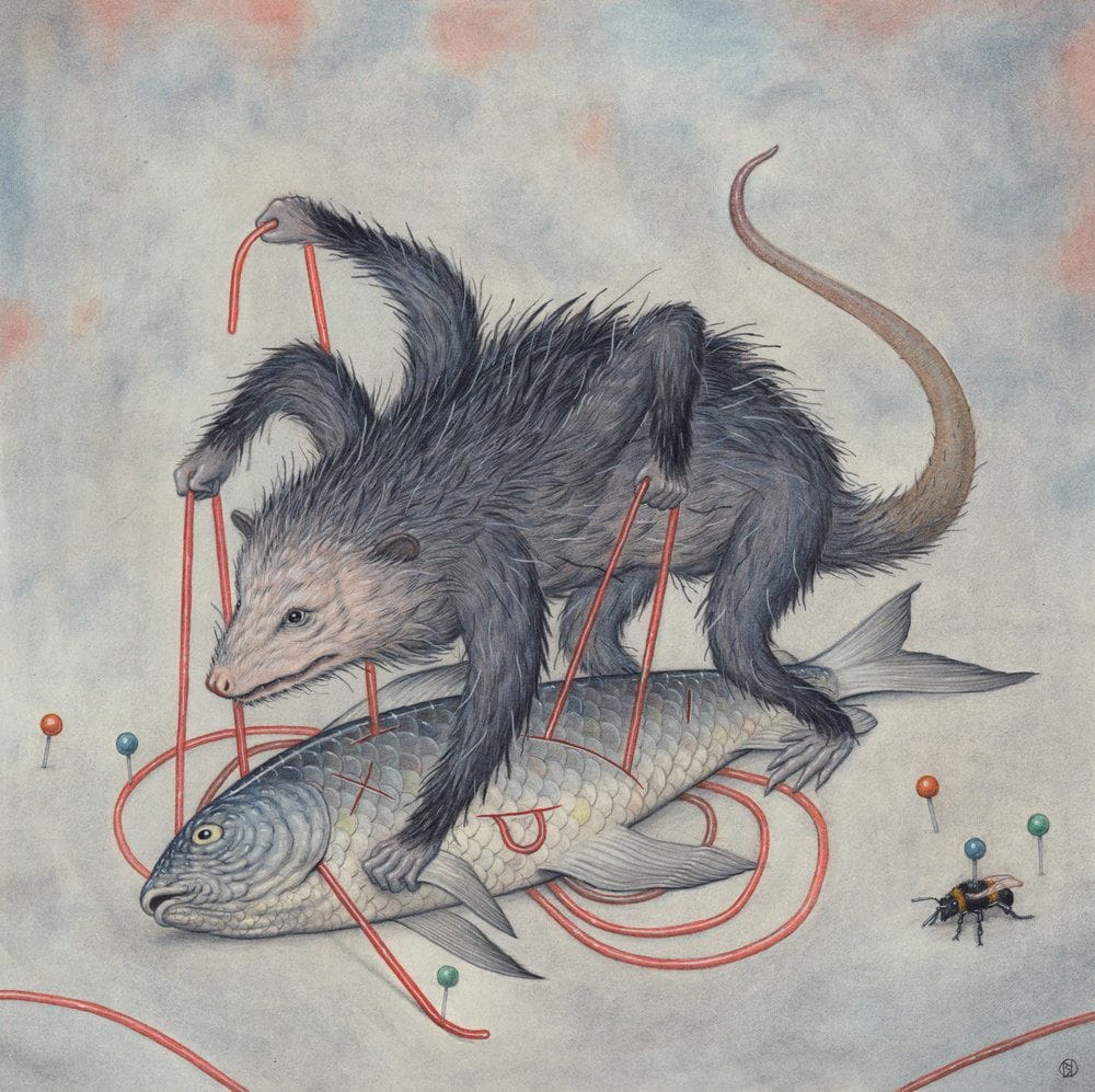 Artwork Title: The Opossum