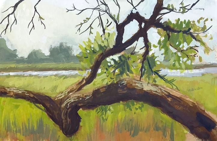 Artwork Title: Kiawah Branch