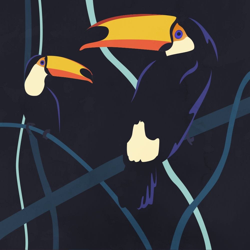 Artwork Title: Tocans