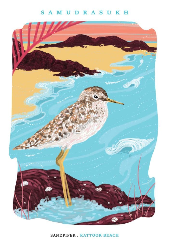 Artwork Title: Sandpiper