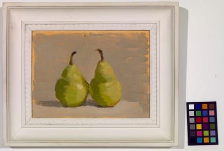 Artwork Title: Two Pears on Gray Background