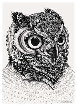 Artwork Title: Owl Portrait