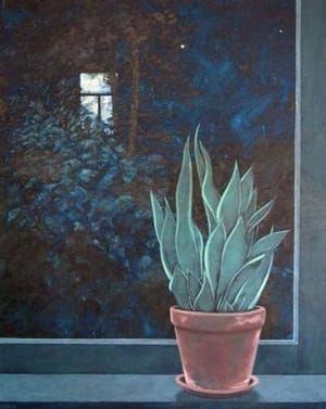 Artwork Title: Sansevieria in Window at Night