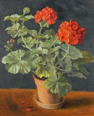 Artwork Title: Geraniums in a Pot