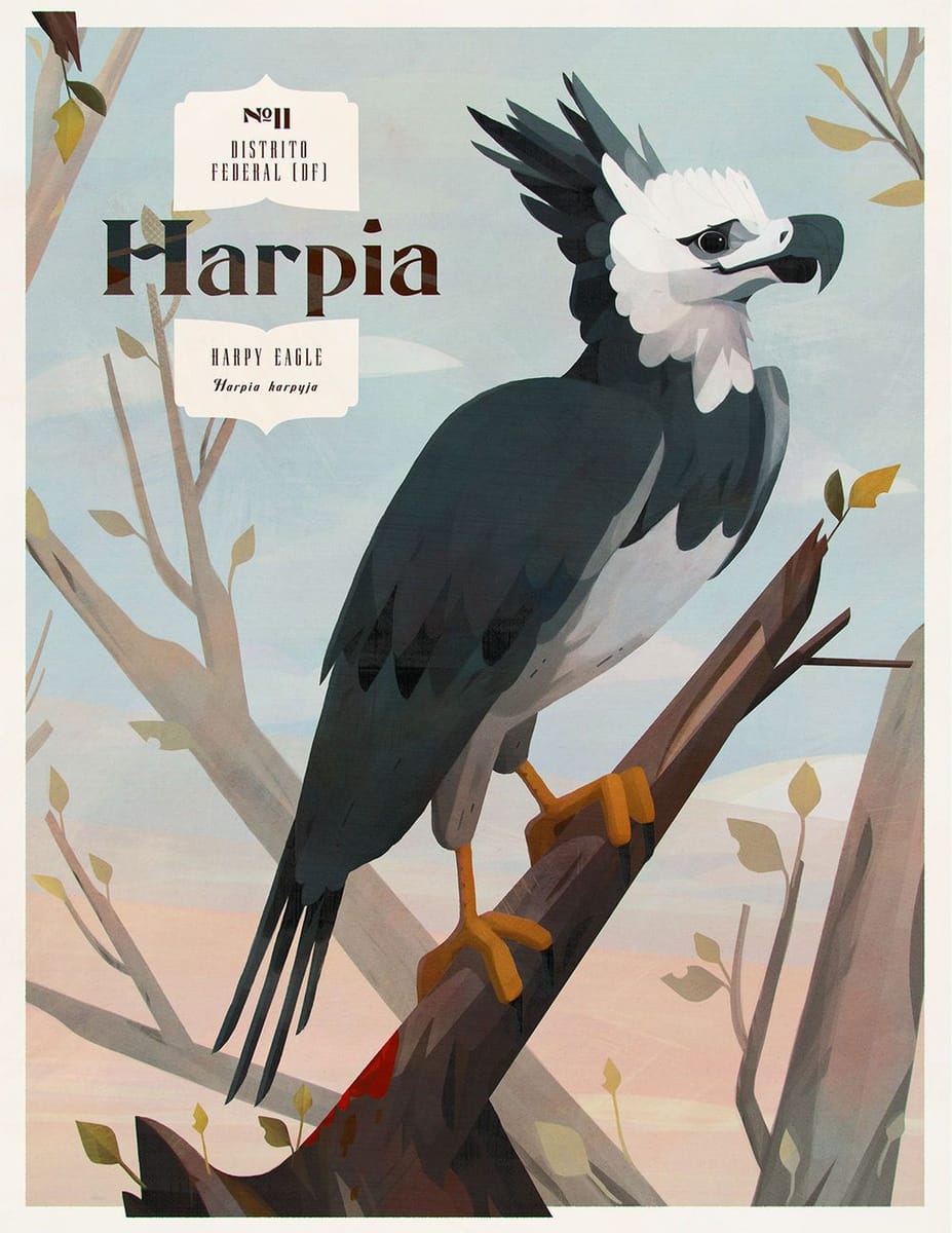 Artwork Title: Harpy Eagle / Harpia