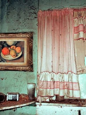 Artwork Title: Great Art in Ugly Rooms: Cezanne