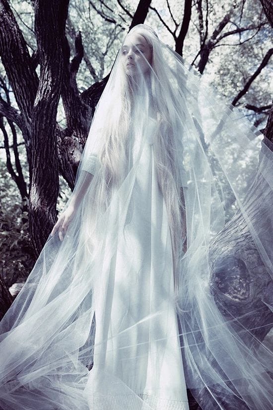 Artwork Title: Sleeping Beauty (3)