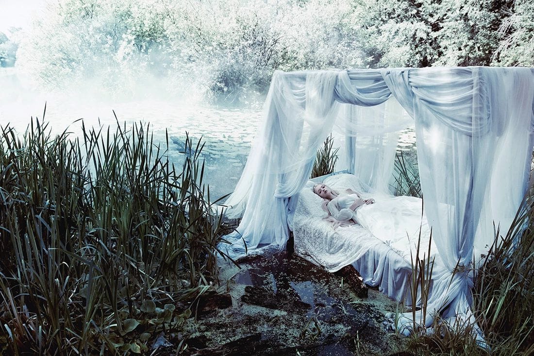 Artwork Title: Sleeping Beauty (2)