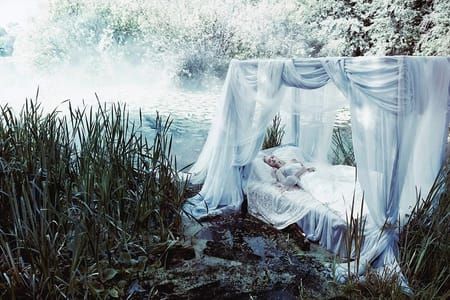 Artwork Title: Sleeping Beauty (2)