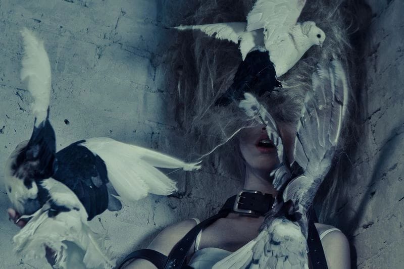 Artwork Title: undefined