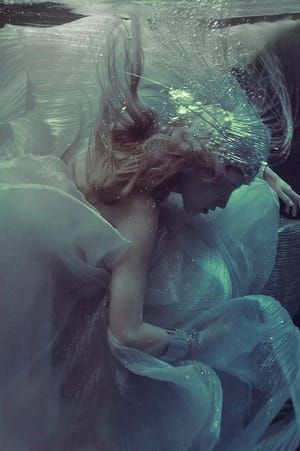 Artwork Title: Untitled