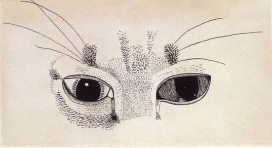 Artwork Title: Cat's Eyes