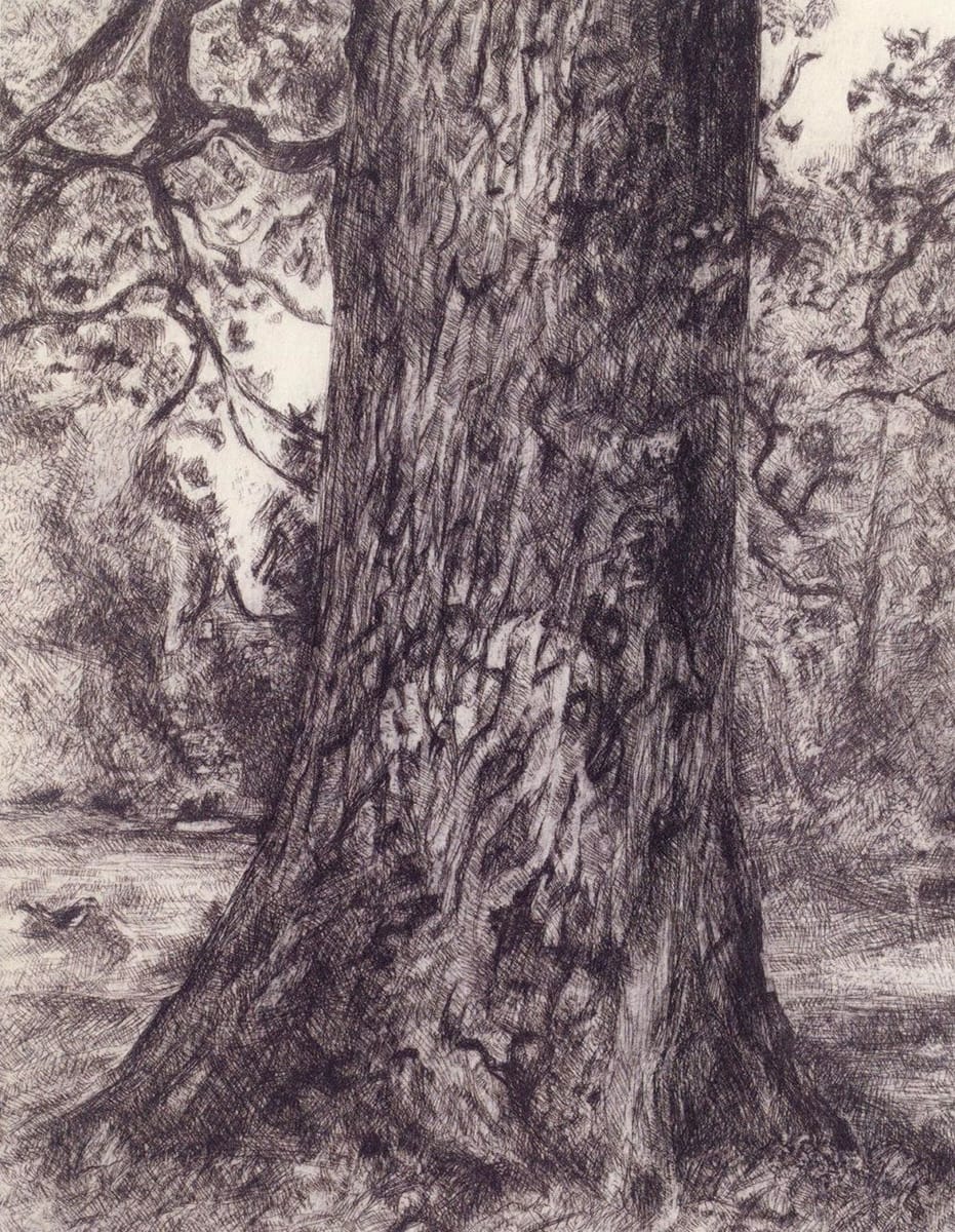 Artwork Title: Elm Tree After Constable