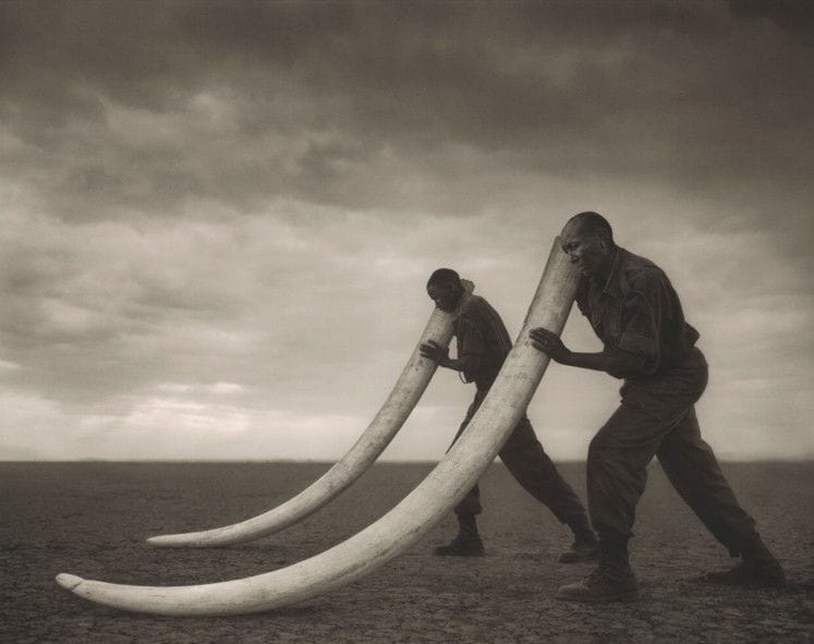 Artwork Title: Two Rangers With Tusks Of Killed Elephant, Amboseli