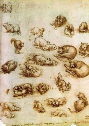 Artwork Title: Study Sheet with Cats, Dragon, and Other Animals, c1513