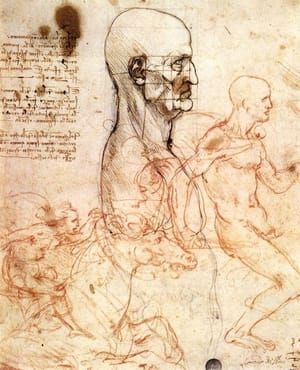 Artwork Title: Anatomical Drawings, Codex Huygens