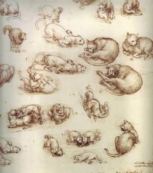 Artwork Title: Study Sheet with Cats, Dragon, and Other Animals, c1513