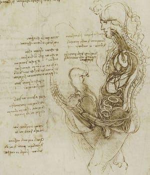 Artwork Title: hemisected man and woman in coition. (From folio RL 19097v)