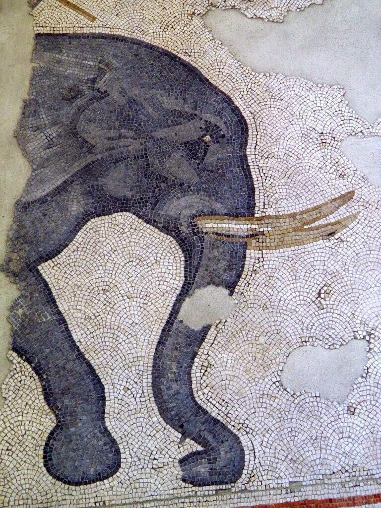 Artwork Title: Elephant, detail of the 6th century mosaic floor from the Palatium Magnum (Constantinople’s Great Pa