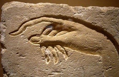 Artwork Title: Hand of Akhenaten making an offering to Aten - From Ashmunein, Egypt, 18th Dynasty B
